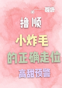 撸顺小炸毛的正确走位