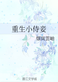 重生小侍妾