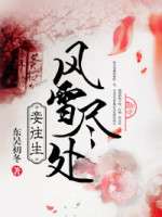 风雪尽处，妾往生