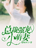 总裁强宠小萌妻