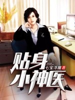 少年圣医