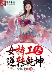 穿越之女特工逆转乾坤