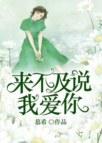 来不及说我爱你
