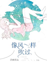 像风一样吹过