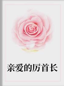 亲爱的厉首长