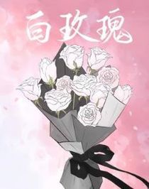 白玫瑰【CP完结】