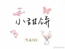 小甜饼