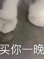 我把强制爱玩脱了