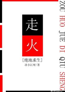 走火[绝地求生]