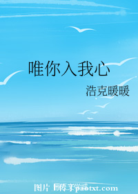 唯你入我心