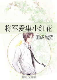 将军爱集小红花（上）