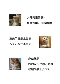 玄学大师是猫奴