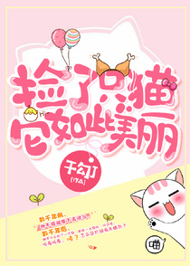 捡了只猫，它如此美丽
