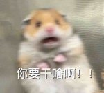 你身后是什么东西