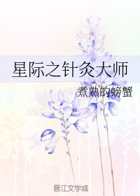 星际之针灸大师