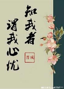 知我者谓我心忧