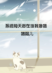 系统每天都在催我撸猫