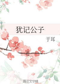 犹记公子