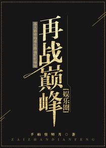 再战巅峰[娱乐圈]