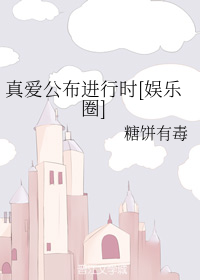 真爱公布进行时[娱乐圈]