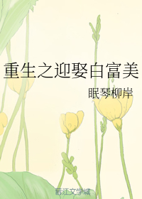 重生之迎娶白富美
