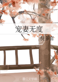 宠妻无度
