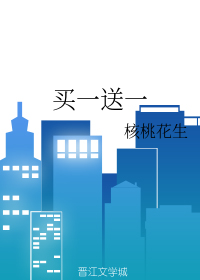 买一送一