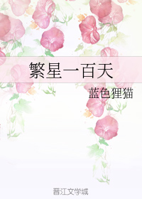 繁星一百天