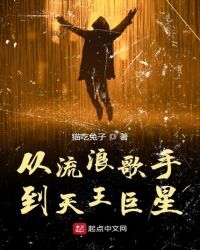 从流浪歌手到天王巨星