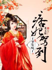 痞妃驾到，王爷发疯了