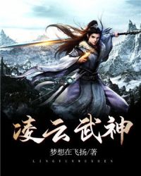 凌云武神