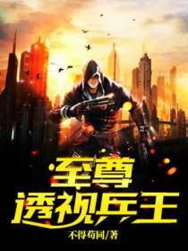 至尊透视兵王