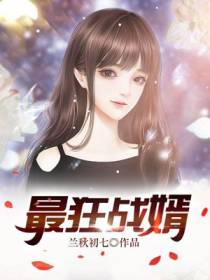 最狂战婿