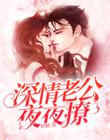 深情老公夜夜撩