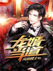 龙婿当道