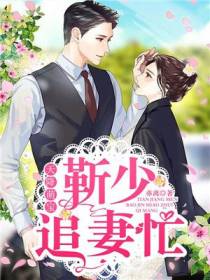 天降萌宝：靳少追妻忙