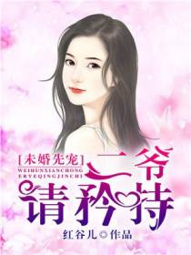未婚先宠：二爷请矜持