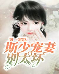 第一宠婚：斯少宠妻别太坏