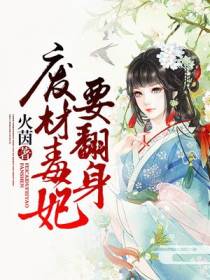 主角叫叶青鸾楚麟的小说