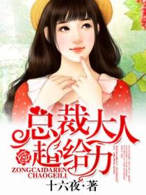 总裁大人超给力安夏儿