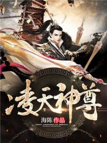 凌天神尊叶辰