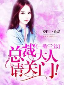 一胎三宝乔染纪寒骁