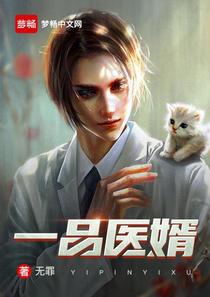 一品医婿