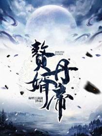 赘婿丹帝叶无双冷如霜