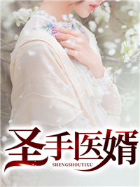 圣手医婿陈飞赵初然