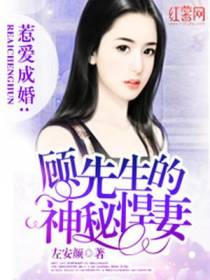 顾先生的神秘悍妻