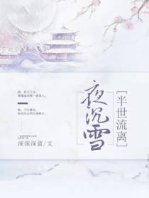 半世流离夜沉雪