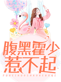 腹黑霍少惹不起