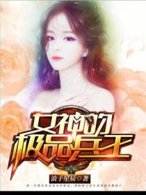 女神的极品兵王阎小刀