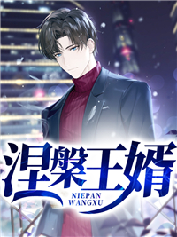 涅槃王婿